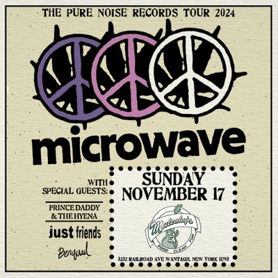 Microwave Nov 17 Insta.jpg