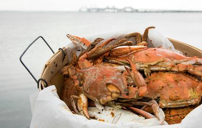 Chesapeake Bay Beach Club Crabfeast