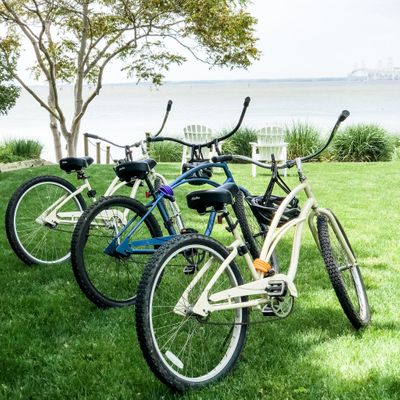 Waterfront Bikes