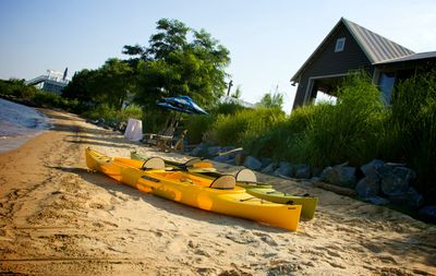 Watersports at the Tavern Bayside