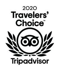 2020 Trip Advisor.png