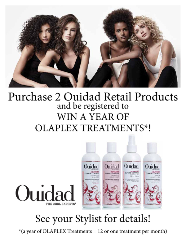 OLAPLEX PROMO-page-001.jpg