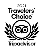 2021 Traveler's Choice Award.png