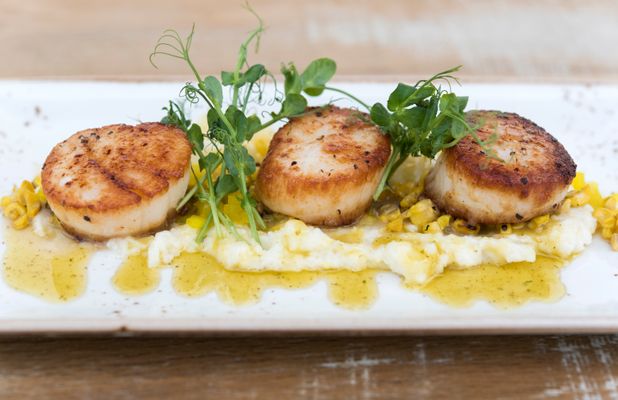 Scallops -  Knoxies Table06.jpg