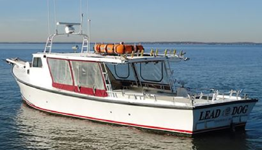 Lead Dog Boat and Fishing Charters
