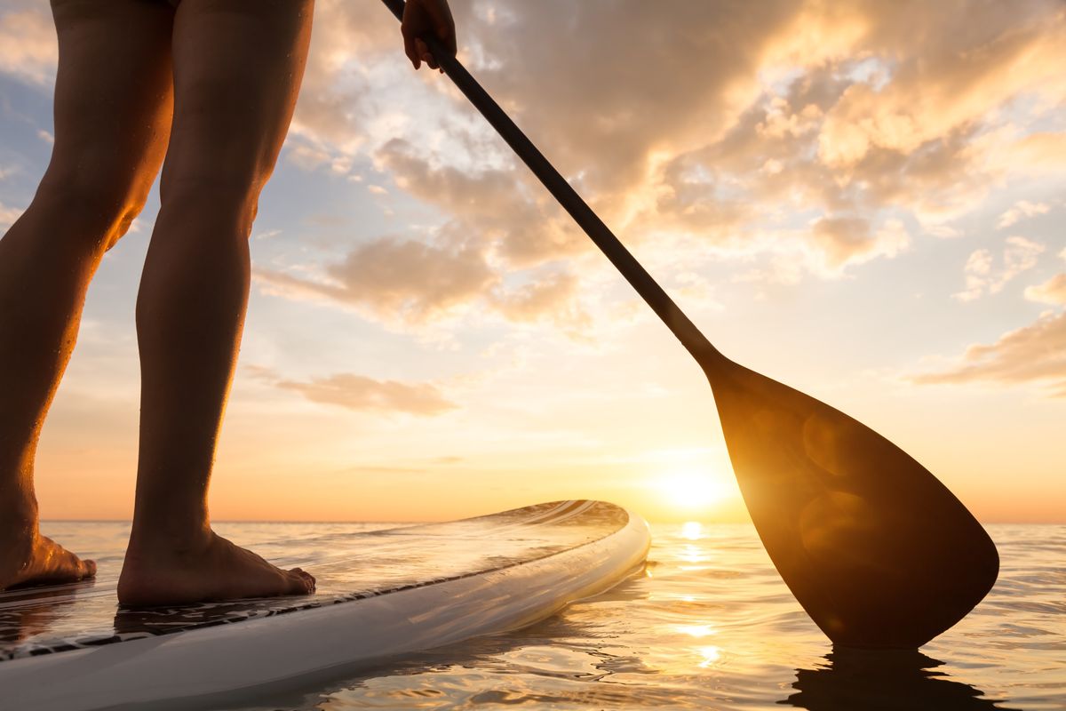 Paddle Boards