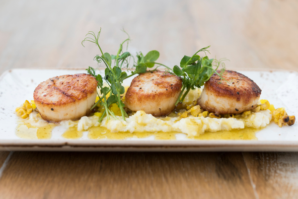 Scallops - Knoxies Table05.jpg