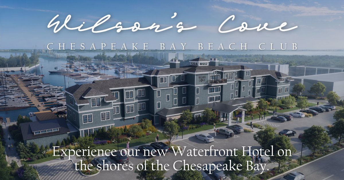 Wilson's Cove Open Graphic.png