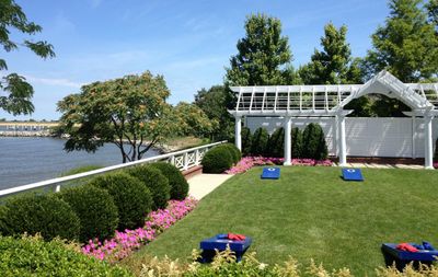 Game Lawn