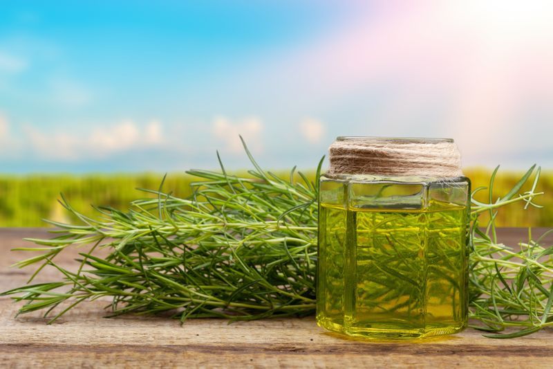 dreamstime_m_120973588 _281_29.jpg