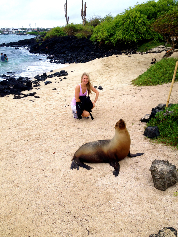 Seal on Beach.jpg