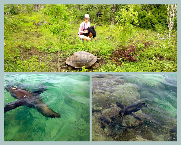 Ecuador Wildlife.png