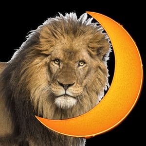 newmooninleo.png