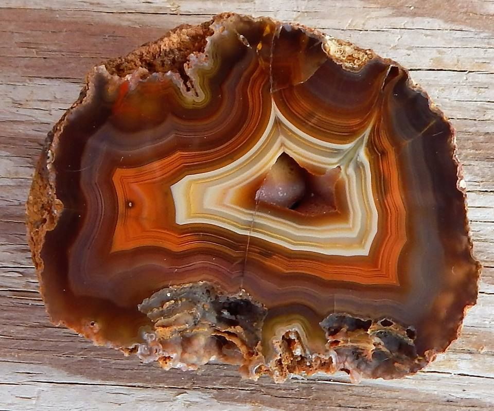 Agate Expo 126 - Coyamito Agate.jpg