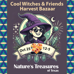 coolwitches _fall25.png