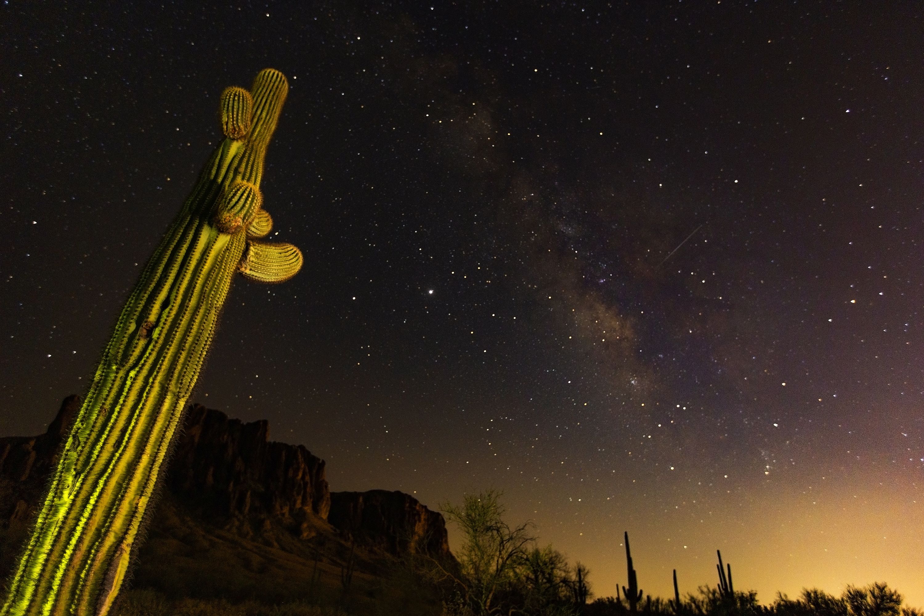 StrivingforThirdBySternHatcher2020ArizonaPrintTif.jpg