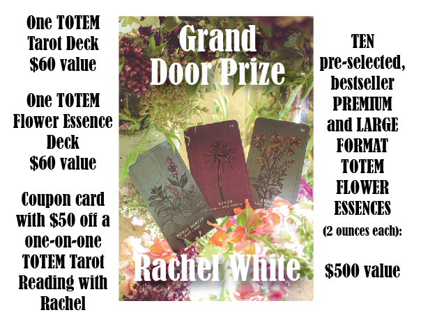 door prize.png
