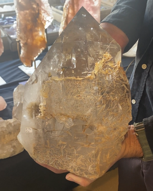 Village Elder Intro Edited.PNG