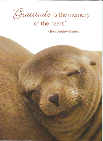 sealthanks.png