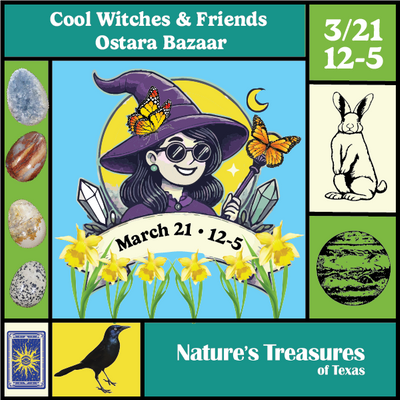 coolwitches_march2026.png