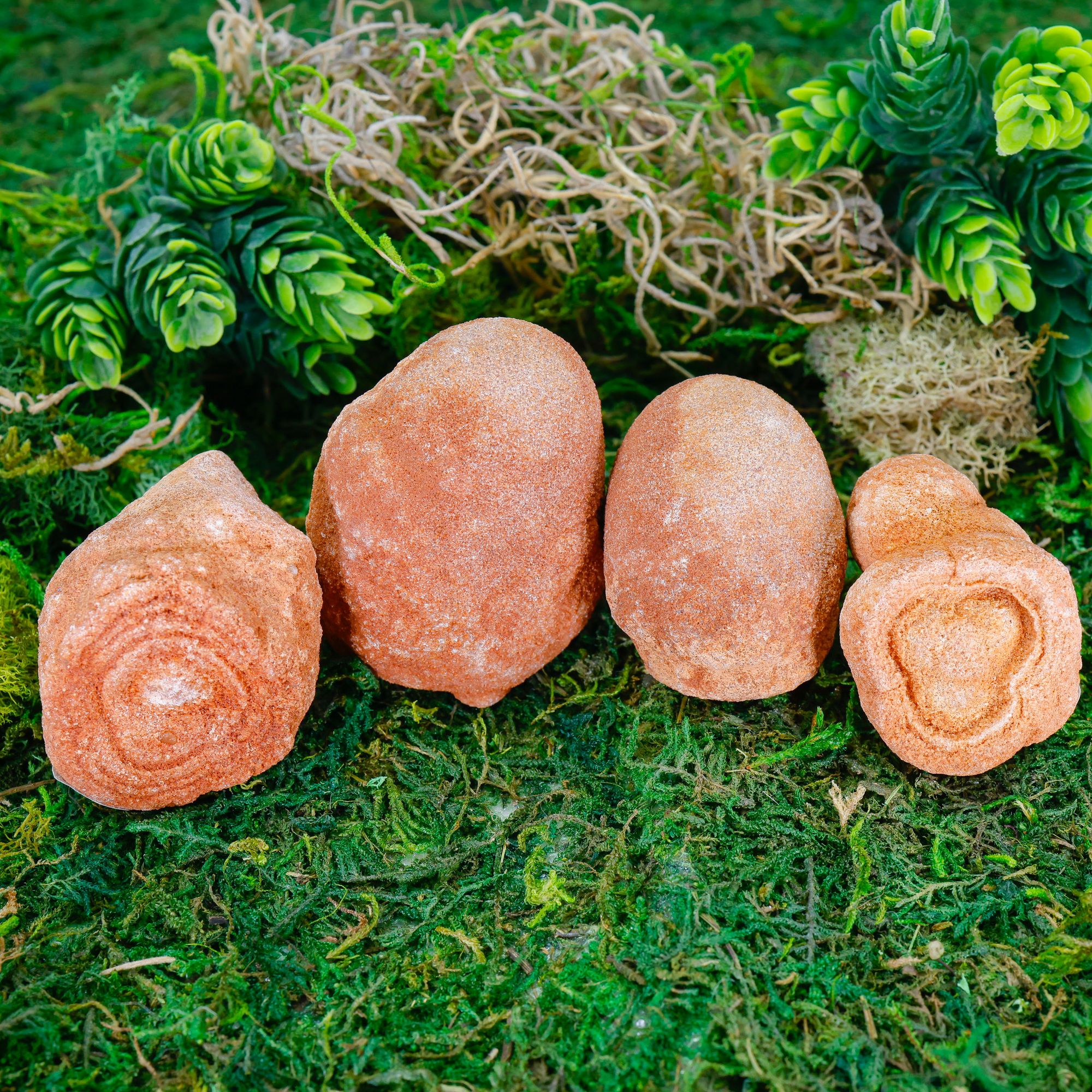 SolsticeSale_Stromatolite.jpg