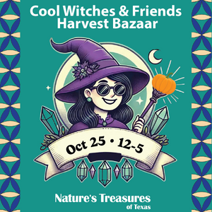 coolwitches _fall25.png