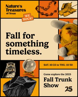 25NT008 - 2025 Fall Trunk Show Web Page Graphic.jpg