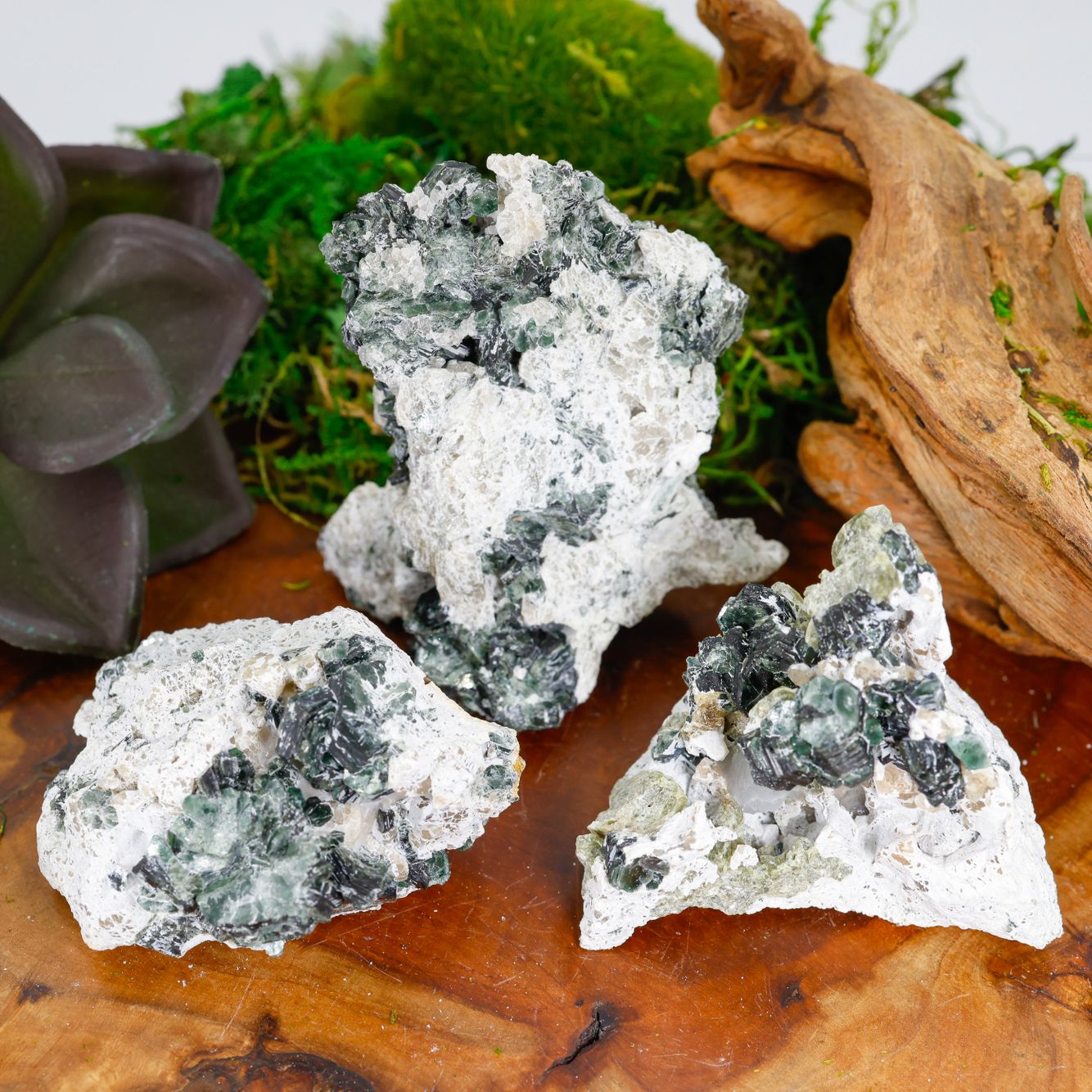 Clintonite Mica-AT the counter-2.jpg