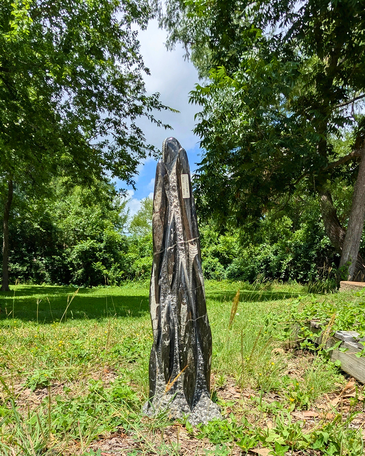 Orthoceras Tower - high res.png