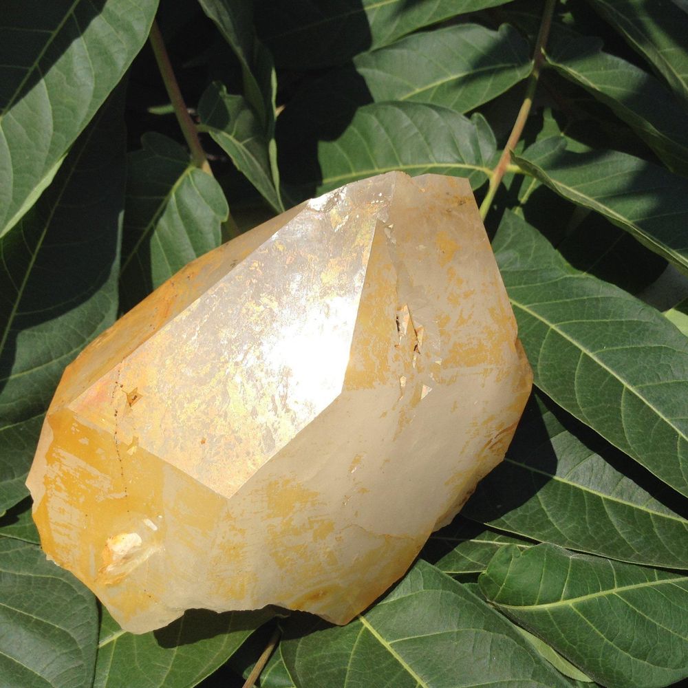 solaris-golden-healer-quartz-point-2-25-lbs-natures-treasures_2000x.jpg