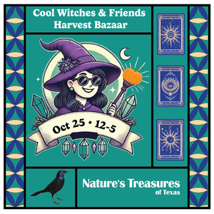 coolwitches _fall25.png