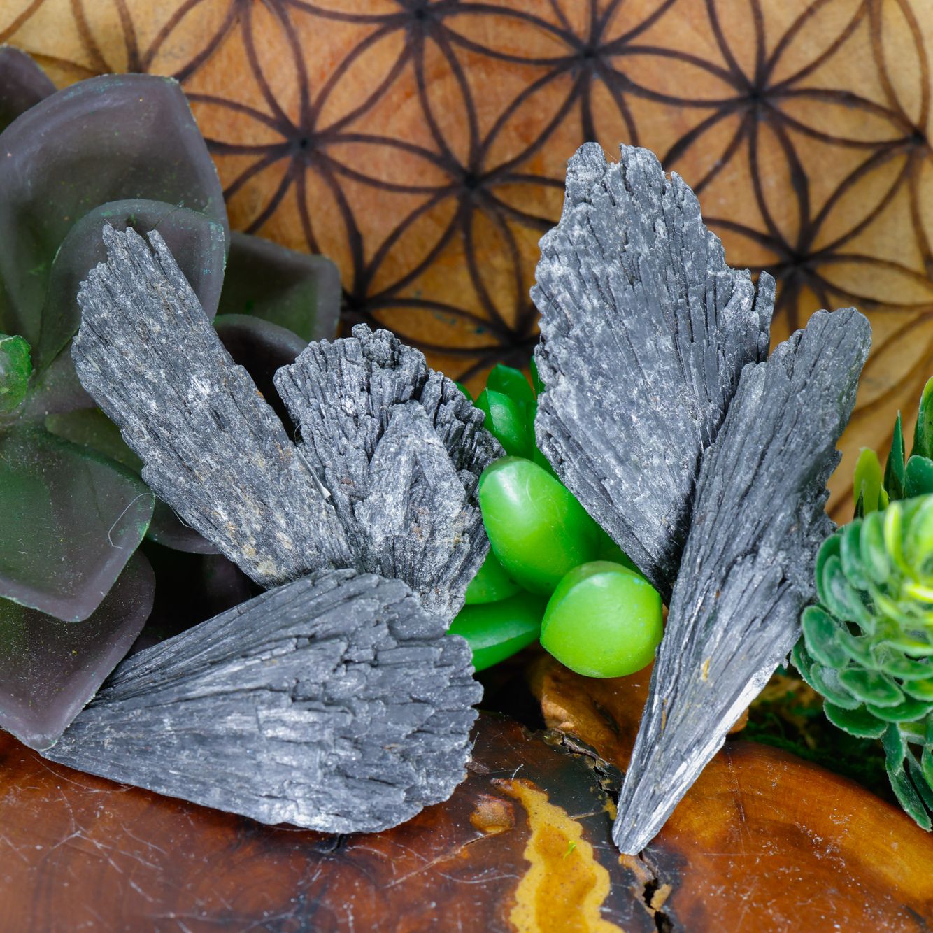 Black Kyanite Fans-Inventory-1.jpg