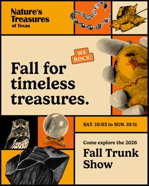 Fall Trunk Show_Website Graphic.jpg