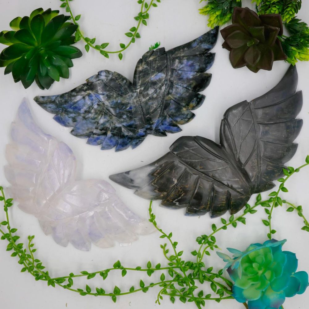 Crystal Wings Collection -1.jpg