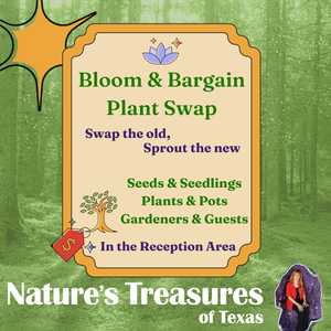 Bloom & Bargain Plant Swap.png