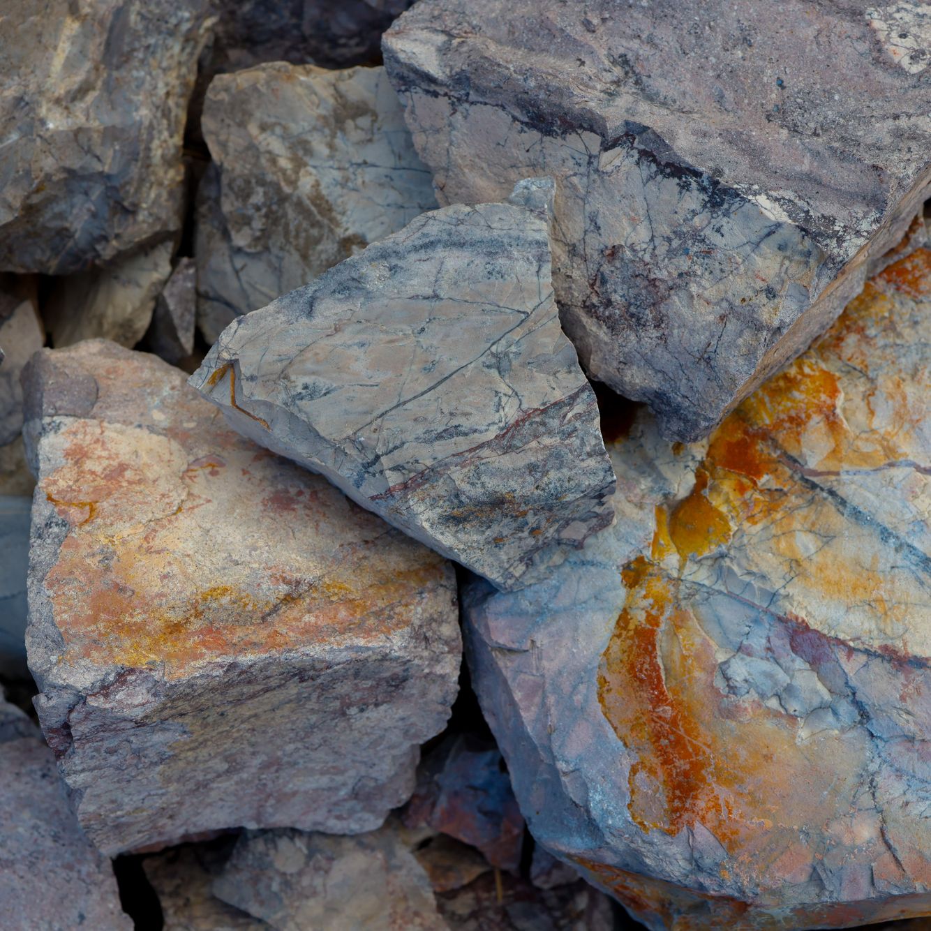 Porceian Jasper- Depo-3.jpg