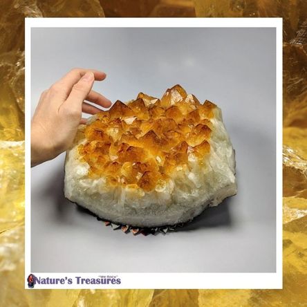 Large Brazilian Citrine Cluster.jpg