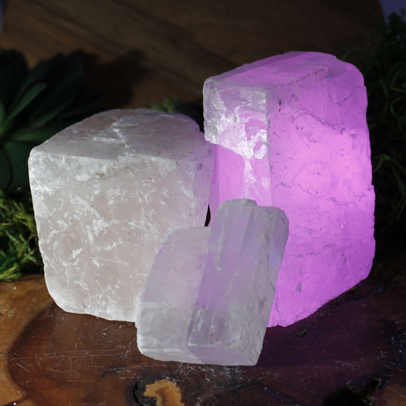 Fluorescent minerals-at the counter.JPG