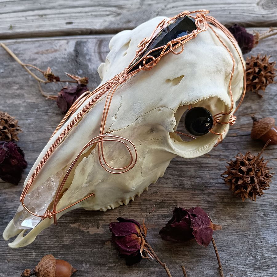 1000025481Von Blackstone.jpg