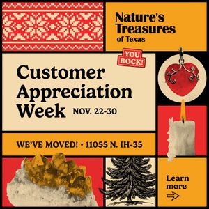 25NT009 - Customer Appreciation Sale - Square Newsletter Graphic.jpg