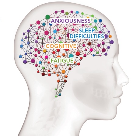 Brain.jpg
