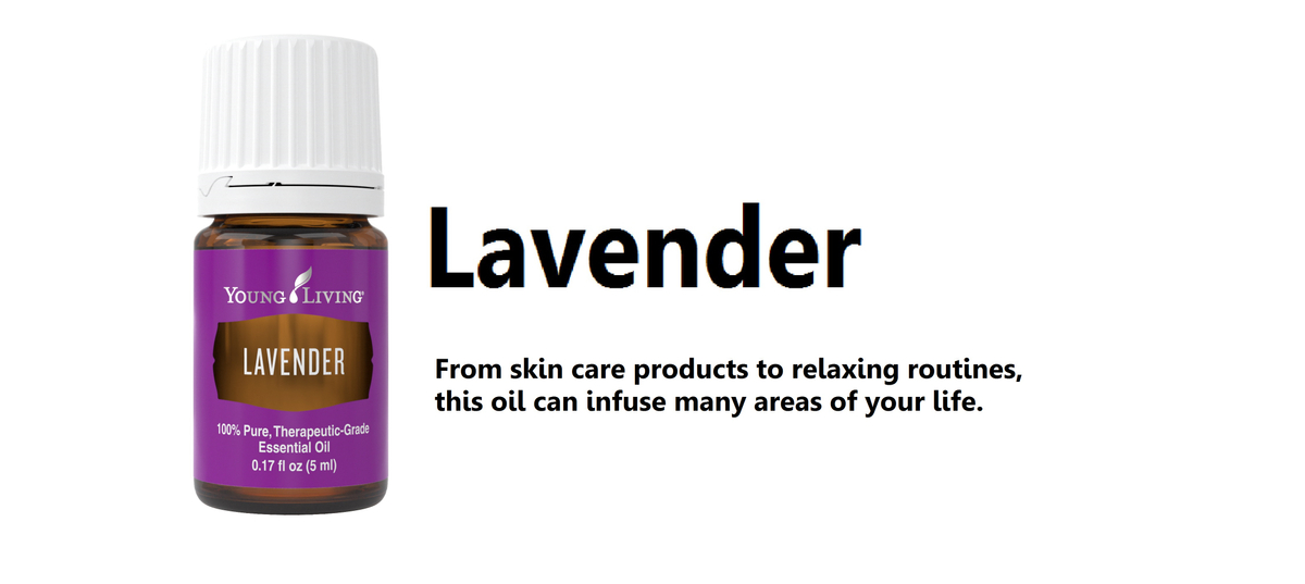 Lavender 5ml.jpg