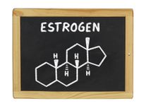 estrogen-chalkboard.jpg