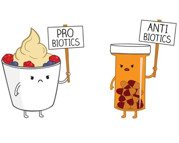 How-to-Take-Probiotics-with-Antibiotics.jpg