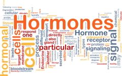 Hormones.jpg