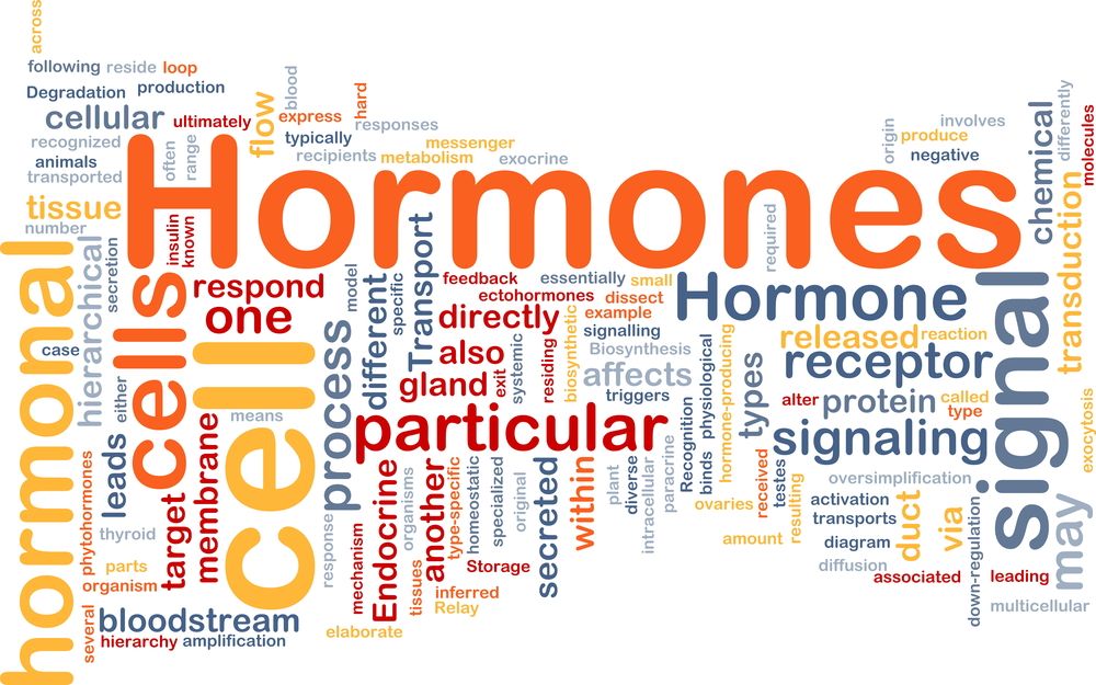 Hormones.jpg