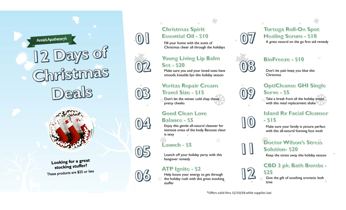 12 days of christmas website.jpg
