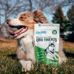 CBDMD Pet Treats 750 with dog.jpg