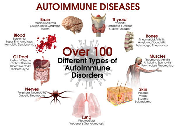 Picture_AutoImmune-1024x768.png