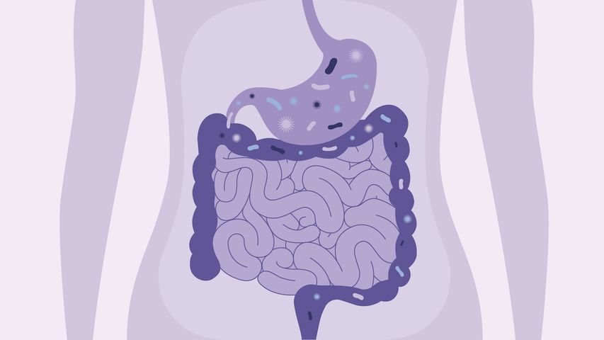 Gut Health.jpeg